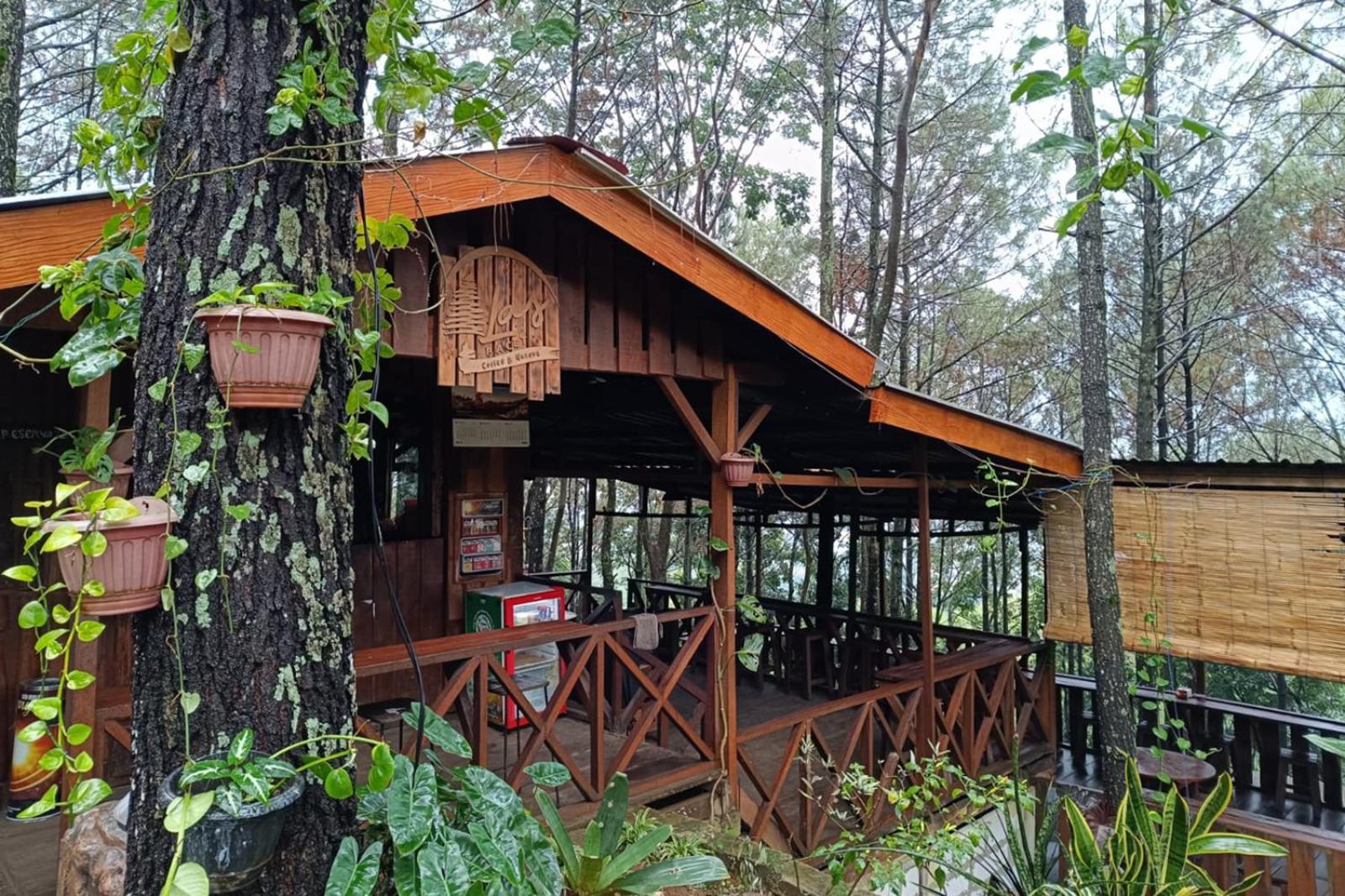 Alas Pacet By Twospaces, Mojokerto エクステリア 写真