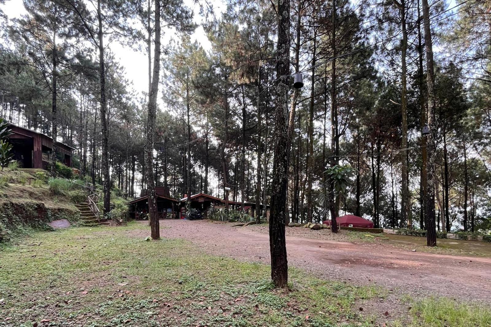Alas Pacet By Twospaces, Mojokerto エクステリア 写真